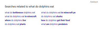 Google related searches: What do dolphins eat