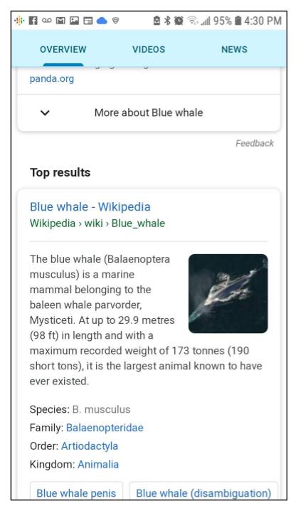 Screenshot mobile search of Blue Whale, scrolled Top Result, Blue Whale Wikipedia