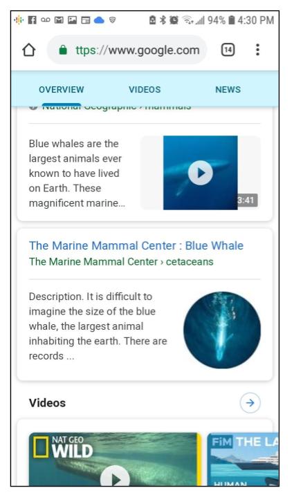 Screenshot mobile search, Blue Whale, Overview