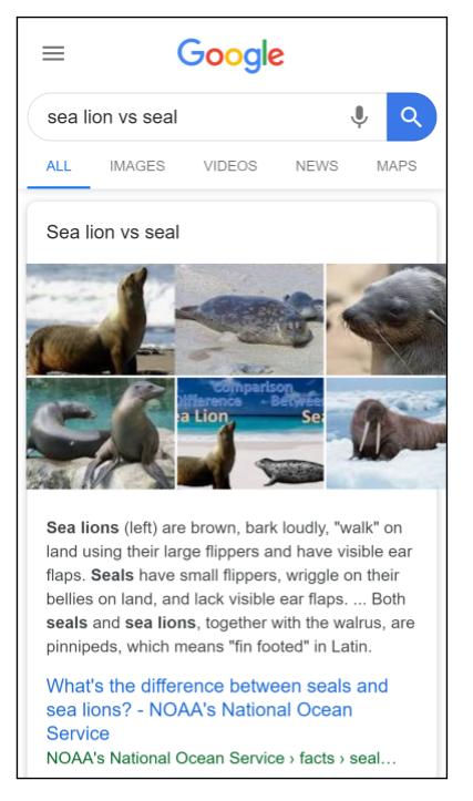 Sea Lion vs. Seal