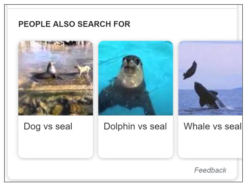 People Also Search For dog vs seal, dolphin vs seal, whale vs. seal