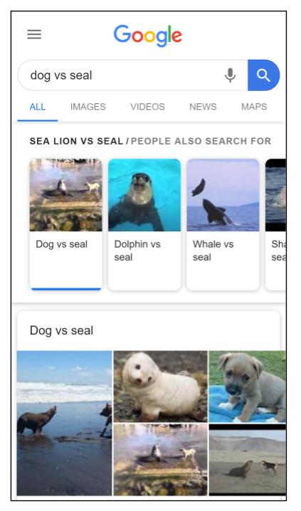 Dog vs seal, dolphin vs seal, whale vs seal, Dog vs seal images