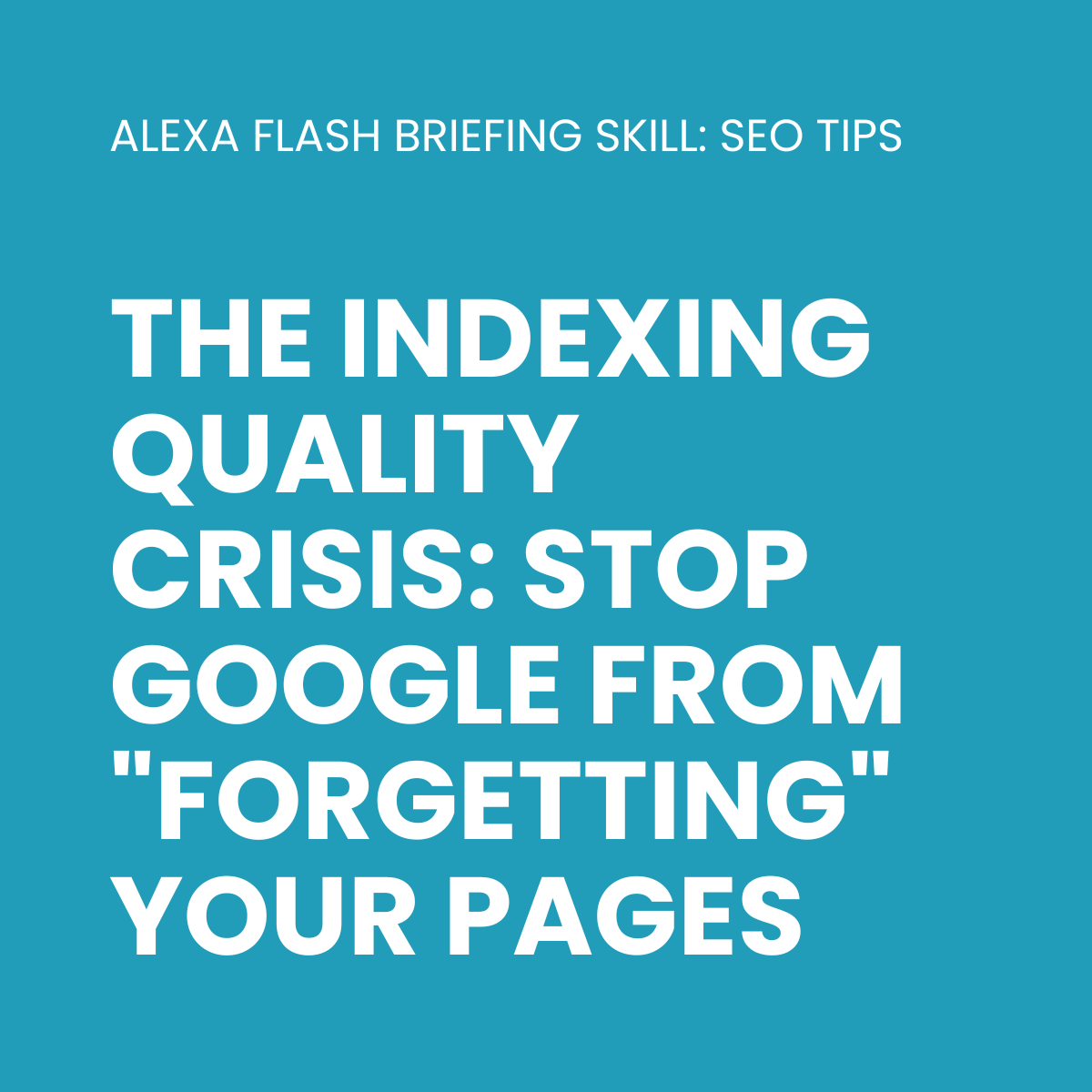 The Indexing Quality Crisis: Stop Google From “Forgetting” Your Pages episode artwork